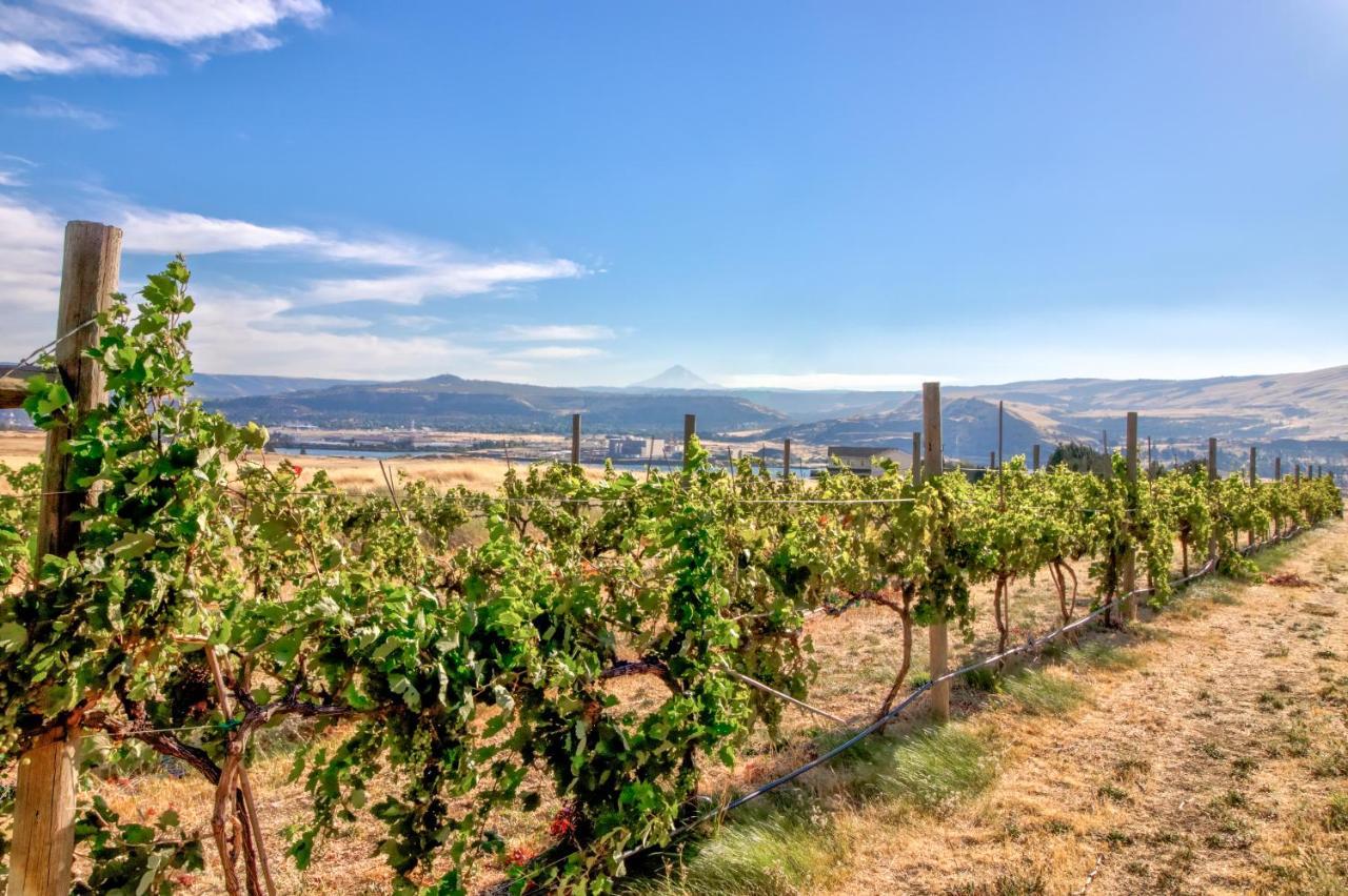 Grapevine Lodge Dallesport Εξωτερικό φωτογραφία
